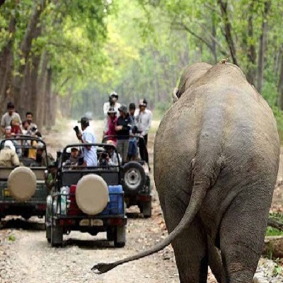 JEEP SAFARI IN CORBETT